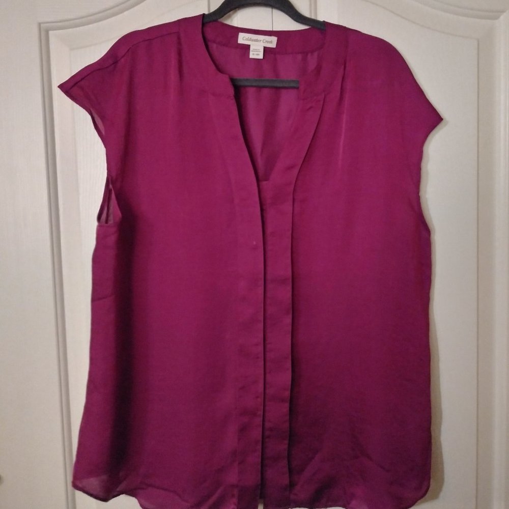 Coldwater Creek Blouse, XL